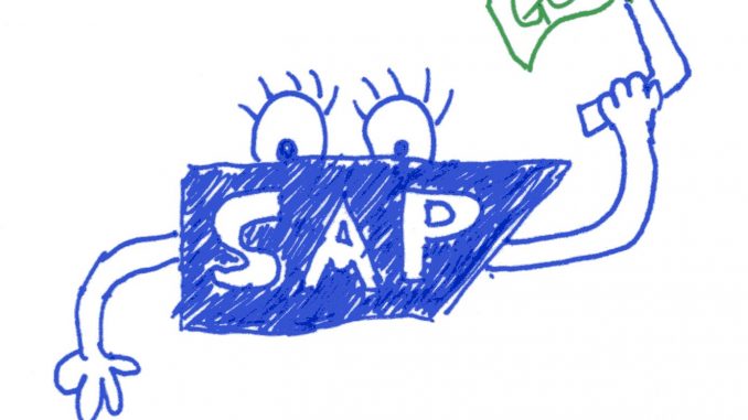 sap startet