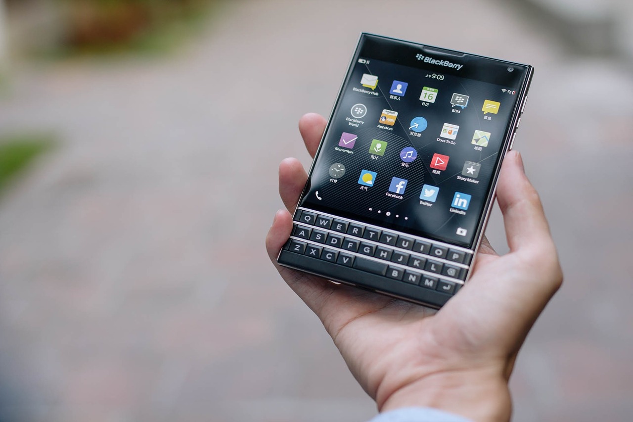 blackberries-1377071_1280